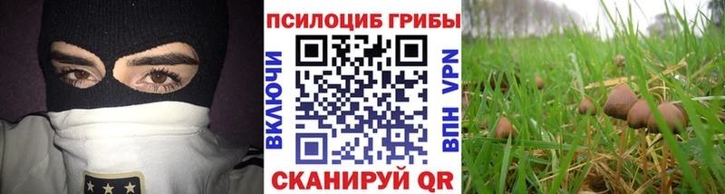 наркотики  Кораблино  Псилоцибиновые грибы мицелий 